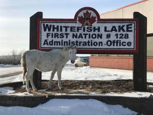 Whitefish Lake First Nations